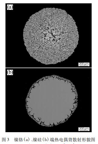 ����( a) ������( b) ���ȵ�ż��ɢ����òͼ