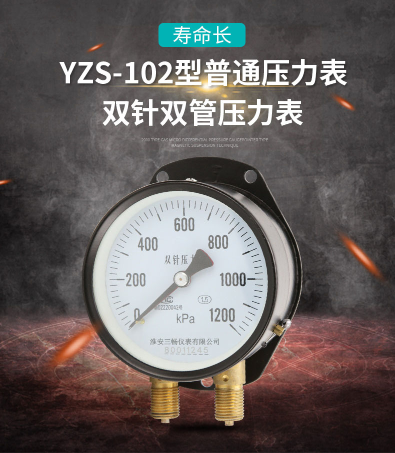 YZS-102˫ѹ