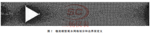 稳流模型配水网格划分和边界层定义