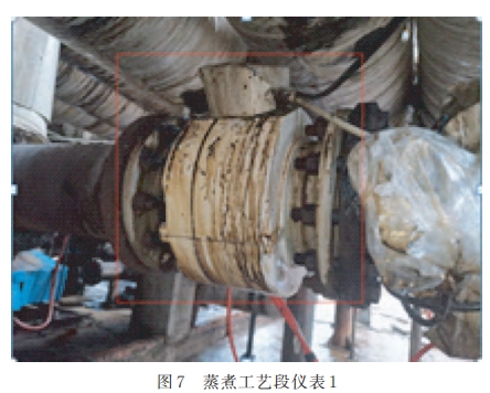 蒸煮工艺段仪表 1
