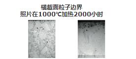 图：横截面粒子边界