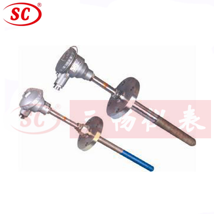 WRE2-430NM煤粉仓耐磨热电偶