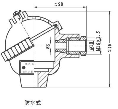 WRNK-431铠装热电偶(防水式铠装 镍铬-镍硅热电偶)的图纸