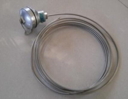 WRNK-181铠装热电偶